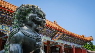 Последний император Китая: история жизни и правления, культурные и социальные изменения, приведшие к падению Китайской империи